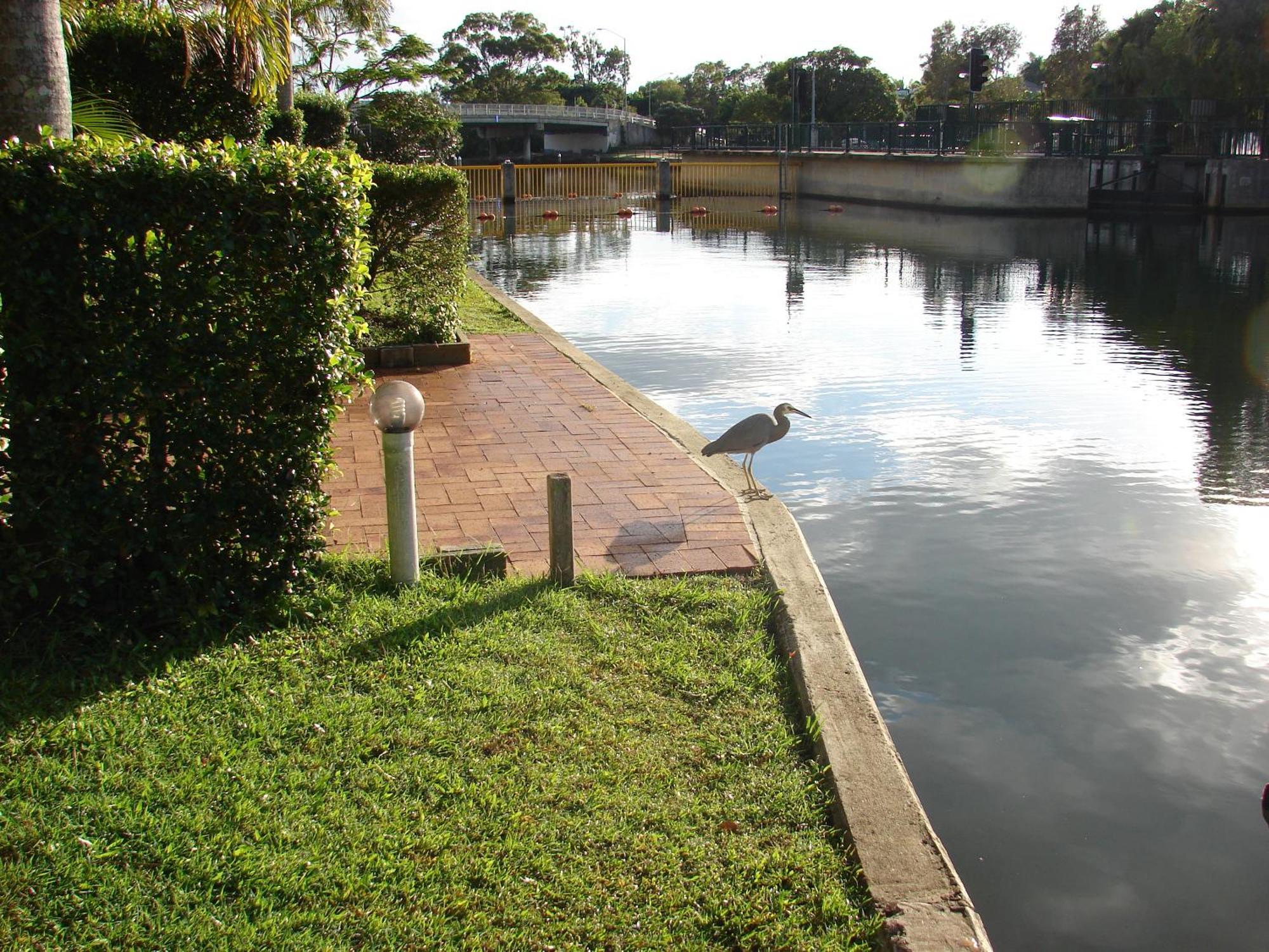 Portside Noosa Waters Ξενοδοχείο Noosaville Εξωτερικό φωτογραφία
